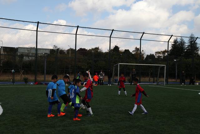 郑薇：朝鲜主力中锋缺阵 我们临时打小球战术